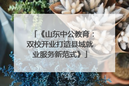 《山东中公教育：双校开业打造县域就业服务新范式》