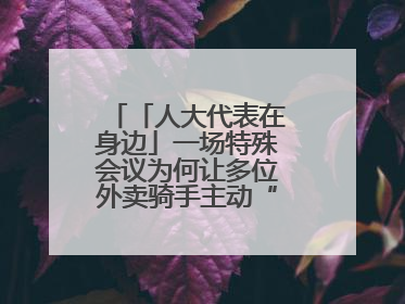 「人大代表在身边」一场特殊会议为何让多位外卖骑手主动“放下订单”？
