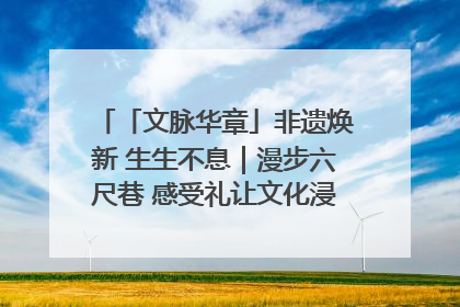 「文脉华章」非遗焕新 生生不息｜漫步六尺巷 感受礼让文化浸润的“巷”往生活