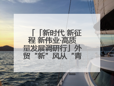 「新时代 新征程 新伟业·高质量发展调研行」外贸“新”风从“青”来 “双向奔赴”启新程