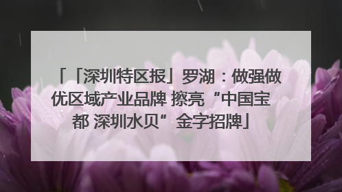 「深圳特区报」罗湖：做强做优区域产业品牌 擦亮“中国宝都 深圳水贝”金字招牌