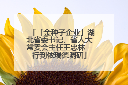 「金种子企业」湖北省委书记、省人大常委会主任王忠林一行到依瑞德调研