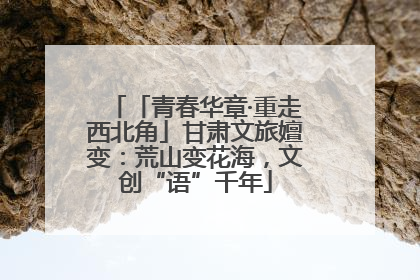 「青春华章·重走西北角」甘肃文旅嬗变：荒山变花海，文创“语”千年