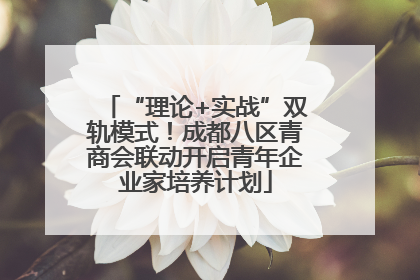 “理论+实战”双轨模式！成都八区青商会联动开启青年企业家培养计划