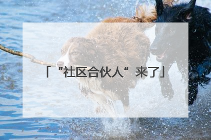 “社区合伙人”来了