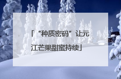 “种质密码”让元江芒果甜蜜持续