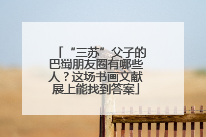 “三苏”父子的巴蜀朋友圈有哪些人？这场书画文献展上能找到答案