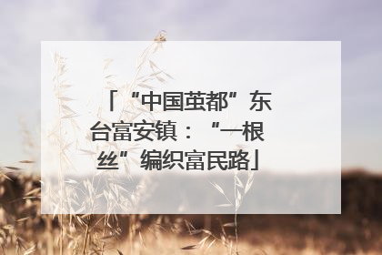 “中国茧都”东台富安镇：“一根丝”编织富民路