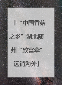 “中国香菇之乡”湖北随州“致富伞”远销海外