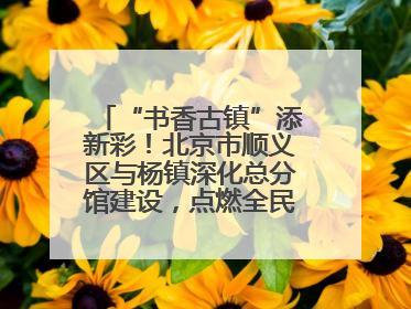 “书香古镇”添新彩！北京市顺义区与杨镇深化总分馆建设，点燃全民阅读新引擎！