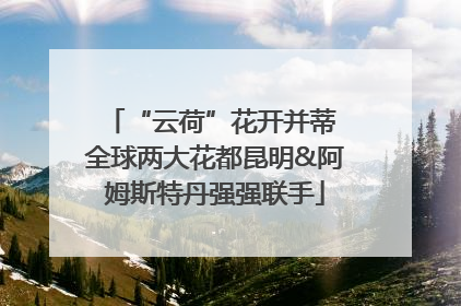 “云荷”花开并蒂 全球两大花都昆明&阿姆斯特丹强强联手