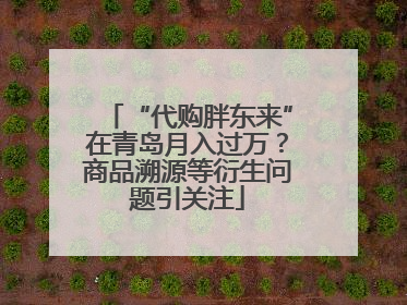 “代购胖东来”在青岛月入过万？商品溯源等衍生问题引关注