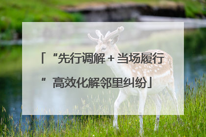 “先行调解＋当场履行”高效化解邻里纠纷