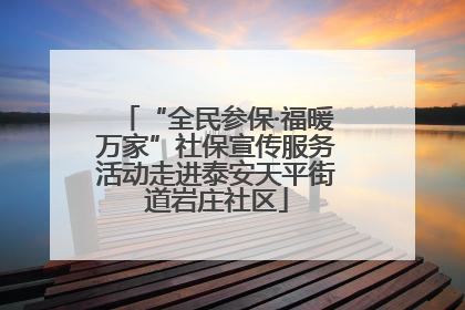 “全民参保·福暖万家”社保宣传服务活动走进泰安天平街道岩庄社区