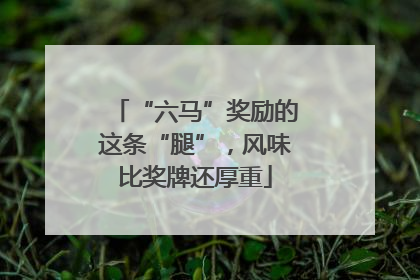 “六马”奖励的这条“腿”，风味比奖牌还厚重