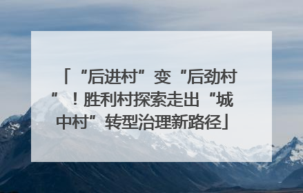 “后进村”变“后劲村”！胜利村探索走出“城中村”转型治理新路径