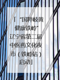 “国粹岐黄 健康铁岭”辽宁省第二届中医药文化夜市（铁岭站）启动