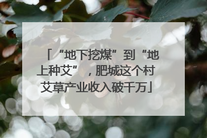 “地下挖煤”到“地上种艾”，肥城这个村艾草产业收入破千万