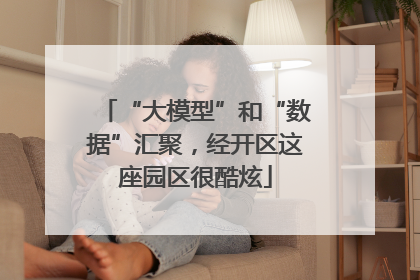 “大模型”和“数据”汇聚，经开区这座园区很酷炫