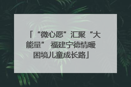 “微心愿”汇聚“大能量” 福建宁德情暖困境儿童成长路