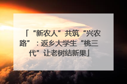 “新农人”共筑“兴农路”：返乡大学生“桃三代”让老树结新果