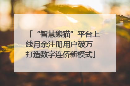 “智慧熊猫”平台上线月余注册用户破万 打造数字连侨新模式
