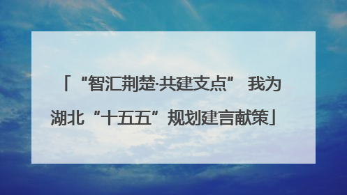 “智汇荆楚·共建支点” 我为湖北“十五五”规划建言献策