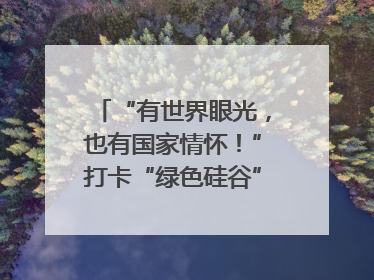 “有世界眼光，也有国家情怀！”打卡“绿色硅谷”，博主新解乐山｜网络名人四川行