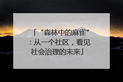“森林中的麻雀”：从一个社区，看见社会治理的未来
