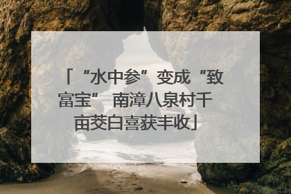 “水中参”变成“致富宝” 南漳八泉村千亩茭白喜获丰收