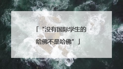 “没有国际学生的哈佛不是哈佛”