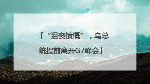 “沮丧愤慨”，乌总统提前离开G7峰会