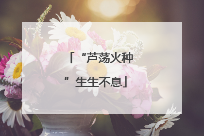 “芦荡火种”生生不息