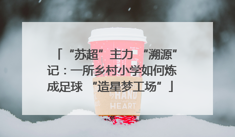 “苏超”主力 “溯源” 记：一所乡村小学如何炼成足球 “造星梦工场”