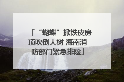 “蝴蝶”掀铁皮房顶吹倒大树 海南消防部门紧急排险