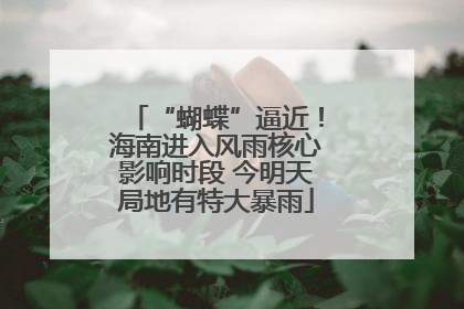 “蝴蝶”逼近！海南进入风雨核心影响时段 今明天局地有特大暴雨