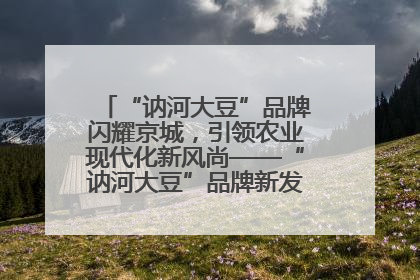 “讷河大豆”品牌闪耀京城，引领农业现代化新风尚——“讷河大豆”品牌新发地推介会圆满落幕