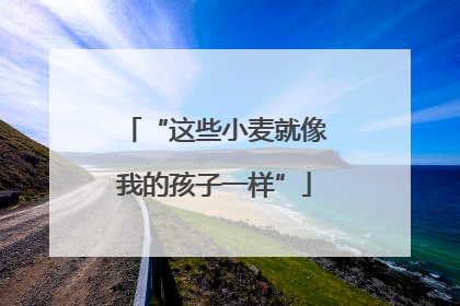 “这些小麦就像我的孩子一样”