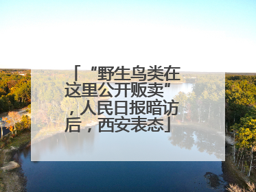“野生鸟类在这里公开贩卖”，人民日报暗访后，西安表态