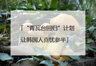 “青瓦台回归”计划让韩国人喜忧参半