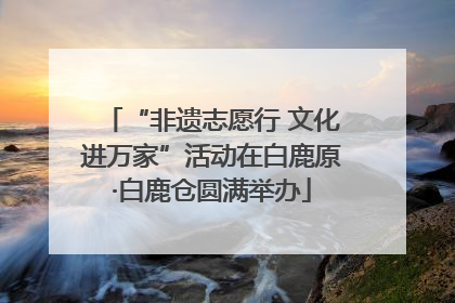 “非遗志愿行 文化进万家”活动在白鹿原·白鹿仓圆满举办