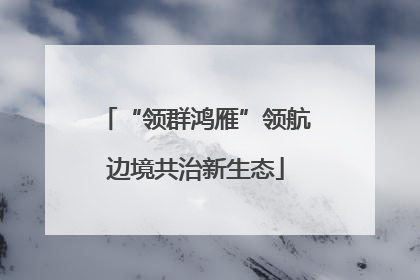 “领群鸿雁”领航边境共治新生态