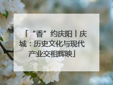 “香”约庆阳丨庆城：历史文化与现代产业交相辉映