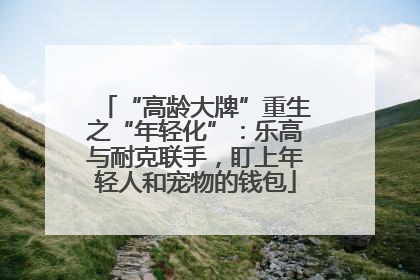 “高龄大牌”重生之“年轻化”：乐高与耐克联手，盯上年轻人和宠物的钱包