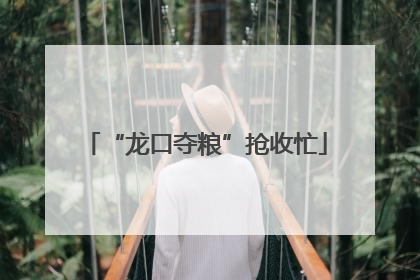“龙口夺粮”抢收忙