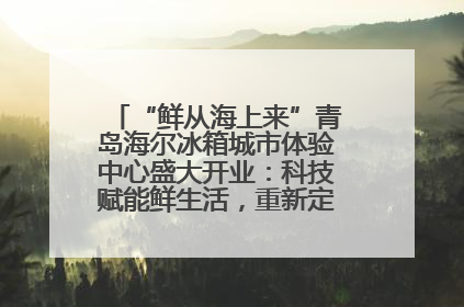 “鲜从海上来”青岛海尔冰箱城市体验中心盛大开业：科技赋能鲜生活，重新定义全球饮食未来