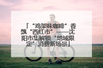 “鸡架味咖啡”香飘“西红市”——沈阳市集解锁“地域限定”消费新场景