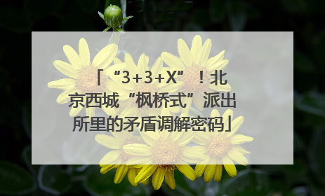 “3+3+X”！北京西城“枫桥式”派出所里的矛盾调解密码