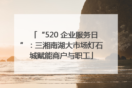 “520 企业服务日”：三湘南湖大市场灯石城赋能商户与职工