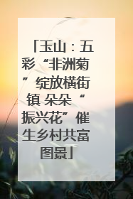 玉山：五彩“非洲菊”绽放横街镇 朵朵“振兴花”催生乡村共富图景